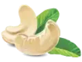 Badamhendi.Icon