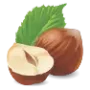 fandoq.icon
